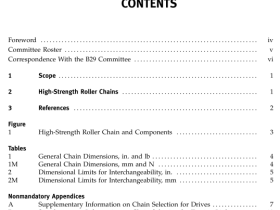 ASME B29.28 pdf download